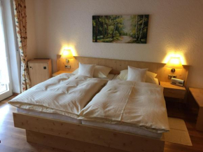 Ferienwohnung-Todtnauberg-in-der-Pension-Gloecklehof Todtnau